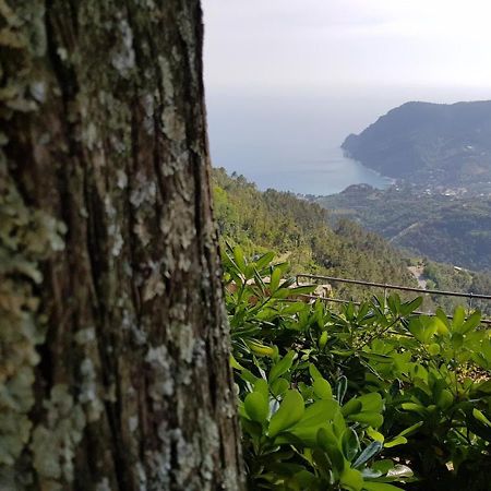 Santuario Ns Soviore Cinque Terre Monterosso al Mare Exterior photo